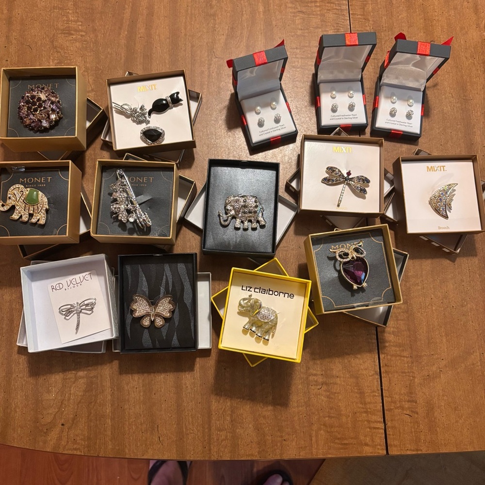Elegant Women's Jewelry Collection lot brooches earrings